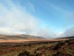 Dartmoor Wallpaper