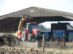 Irthlingborough Farm Wallpaper