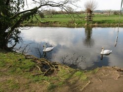 Denford River view Wallpaper