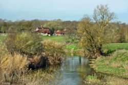 Stour Valley Spring Shillingstone.