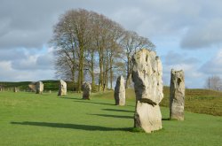 Avebury Standing Stones Wallpaper