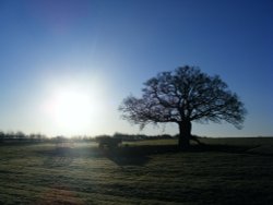 SunUp on Bookham Wallpaper