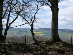 Quantock Hills Wallpaper