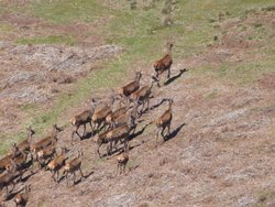 Quantock Hills Wallpaper