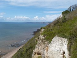 Branscombe Wallpaper