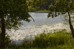 Ambleside, Loughrigg Tarn Wallpaper