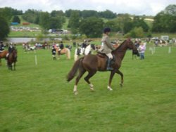 Ripley Show, Aug 2011 Wallpaper