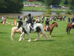 Ripley Show, Aug 2011 Wallpaper