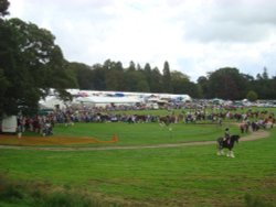 Ripley Show, Aug 2011 Wallpaper