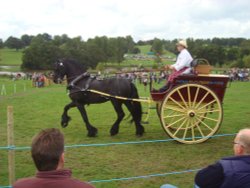 Ripley Show, Aug 2011 Wallpaper