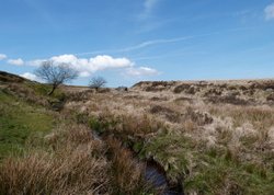 Dartmoor Wallpaper