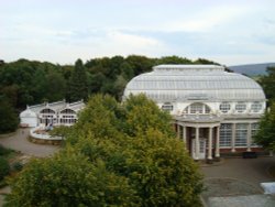 The Butterfly House in Williamson Park Wallpaper