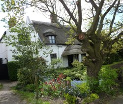 A pretty thatched house in Belton Wallpaper