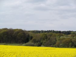 Nottinghamshire Countryside Wallpaper