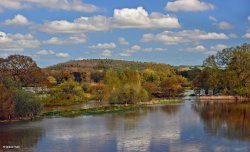 Stour Valley Spring, Shillingstone.