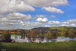 Stour Valley Spring, Shillingstone.