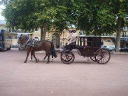 The Royal Mews Wallpaper