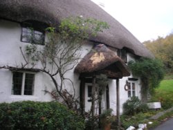 Thatched cottage Dorset