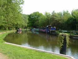 Water scene at Pyrford Wallpaper