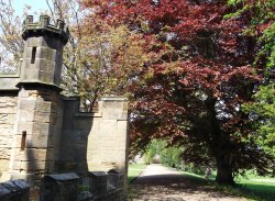 Auckland Castle, Bishop Auckland, Durham  24 May 2012 Wallpaper