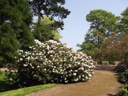 Auckland Castle, Bishop Auckland, Durham  24 May 2012 Wallpaper