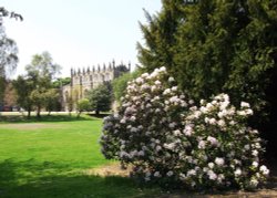 Auckland Castle, Bishop Auckland, Durham  24 May 2012 Wallpaper