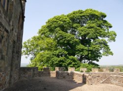 Auckland Castle, Bishop Auckland, Durham  24 May 2012 Wallpaper