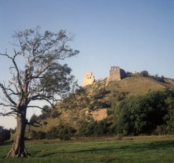 Dryslwyn Castle