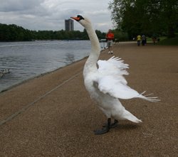 Hyde Park London