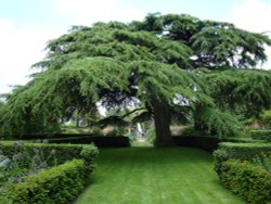 Hidcote Garden Wallpaper