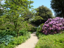 Hidcote Garden Wallpaper