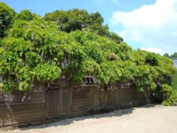 Hidcote Garden Wallpaper