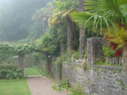 Overbeck's House and Garden Wallpaper