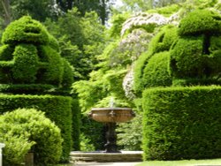 Nymans Garden Wallpaper