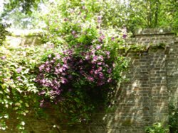 Nymans Garden Wallpaper