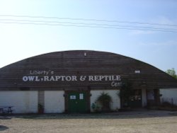 Liberty's Owl, Raptor and Reptile Centre Wallpaper