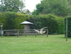 Liberty's Owl, Raptor and Reptile Centre Wallpaper