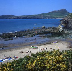 Treleddyn Bay in the Pembrokeshire Coast National Park near Saint David's Wallpaper