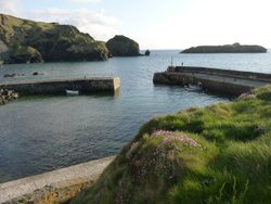 A calm evening at Mullion Cove in Cornwall Wallpaper