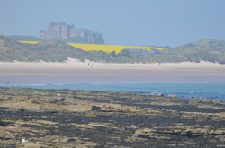 Bamburgh from Seahouses harbour Wallpaper