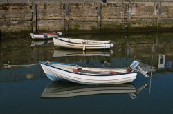 Amble Harbour Wallpaper