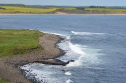 near Craster Wallpaper