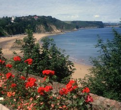 North Beach, Tenby, Pembs. Wallpaper