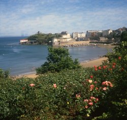 Tenby Harbour, distant view Wallpaper