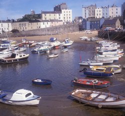 Tenby Harbour Wallpaper