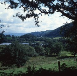 Talley lake from the north Wallpaper