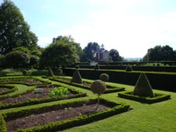 Westbury Court Garden June 2008 Wallpaper