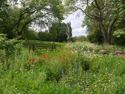 Hidcote Wallpaper