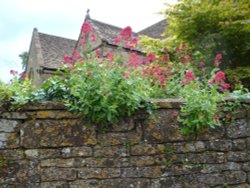 Montacute June 2008 Wallpaper