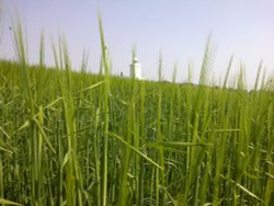 South Foreland Lighthouse, St Margaret's at Cliffe Wallpaper